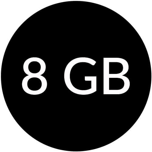 8GB Flash Drives