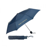 Mini Umbrella