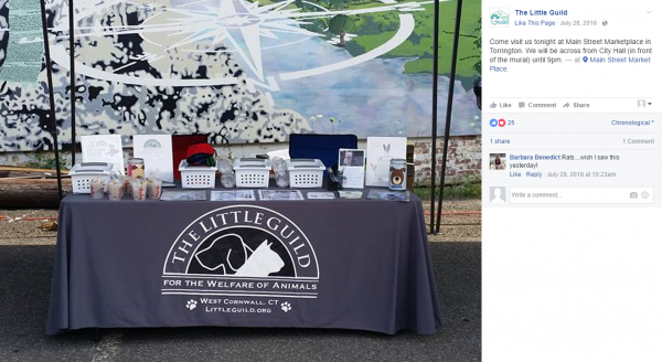 The Little Guild | Full Color 6' Custom Table Covers